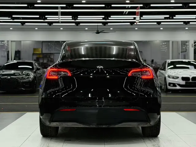 Tesla Model Y — Фото автомобиля 5