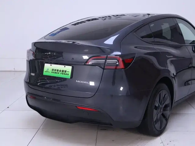 Tesla Model Y — Фото автомобиля 8