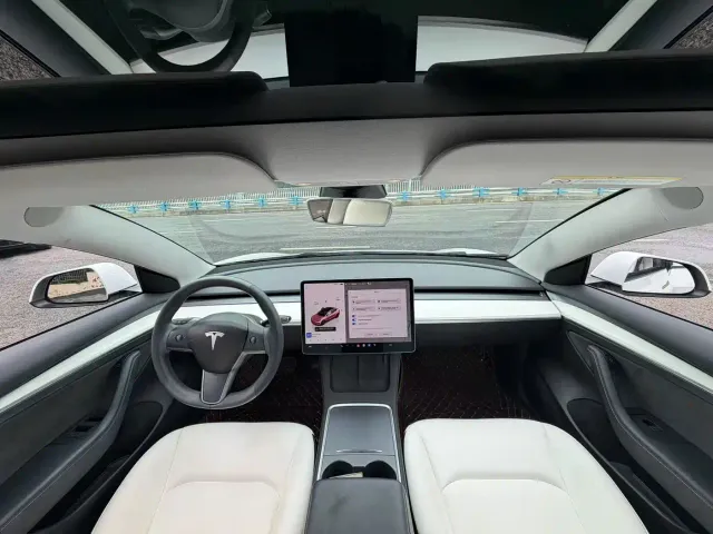 Tesla Model 3 — Фото автомобиля 6