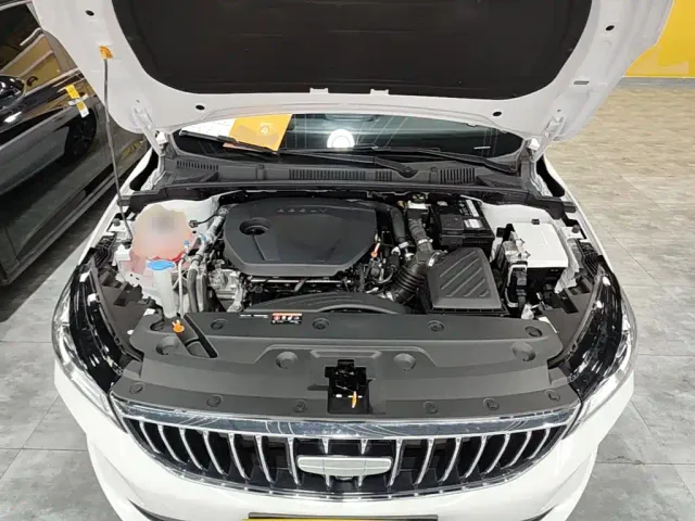 Geely Emgrand — Фото автомобиля 19