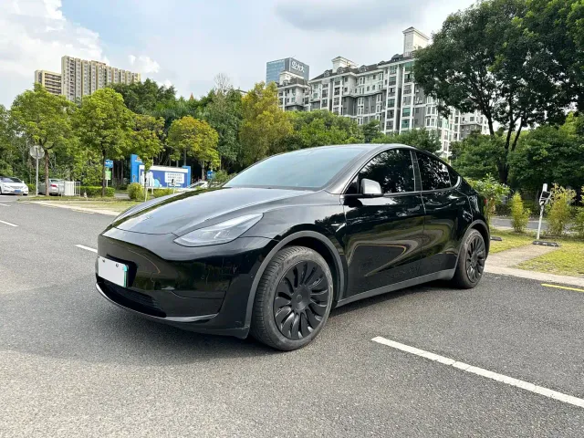 Tesla Model Y — Фото автомобиля 2