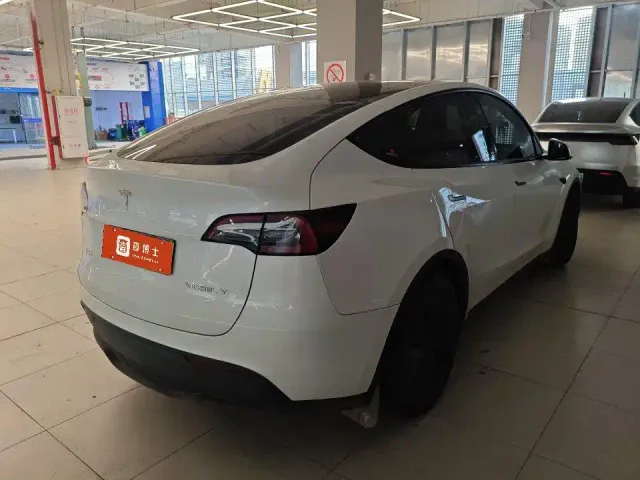 Tesla Model Y — Фото автомобиля 7