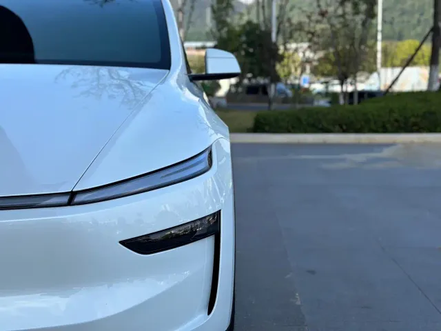 Tesla Model Y — Фото автомобиля 9
