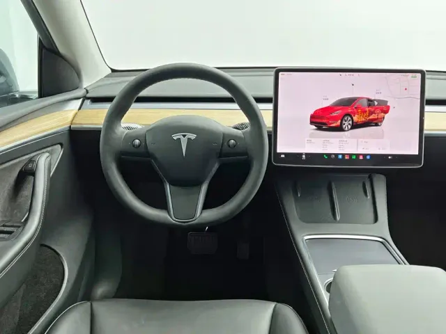 Tesla Model Y — Фото автомобиля 20