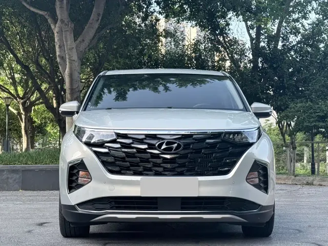 Hyundai Custo — Фото автомобиля 2