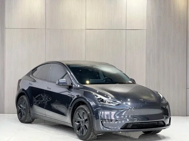 Tesla Model Y — Фото автомобиля 3