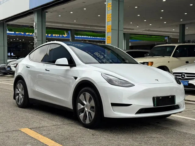 Tesla Model Y — Фото автомобиля 3