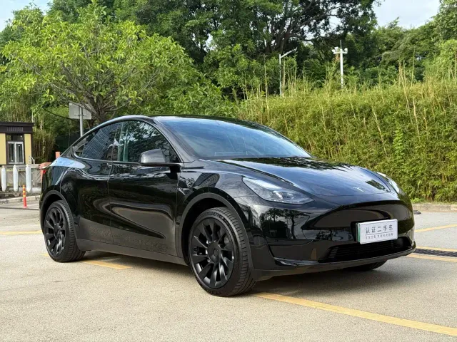 Tesla Model Y — Фото автомобиля 3