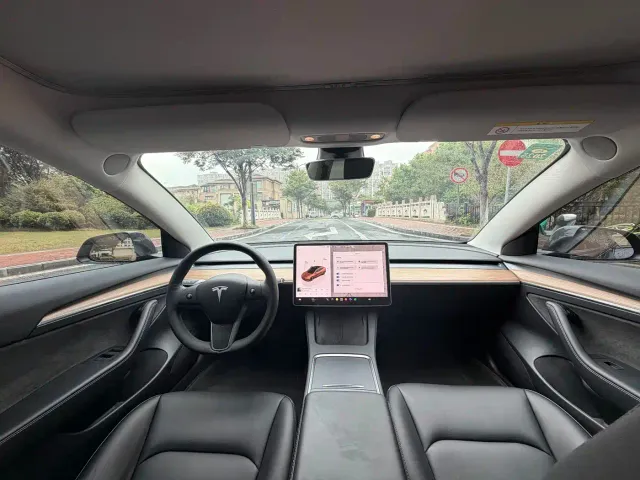 Tesla Model 3 — Фото автомобиля 12