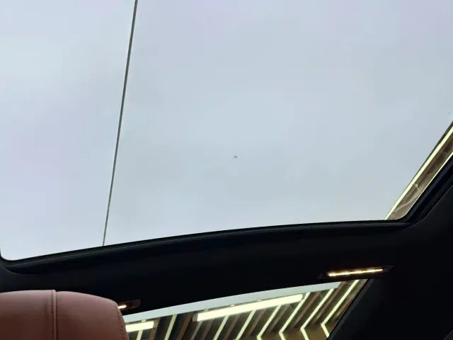 Mercedes-Benz Maybach S-Class — Фото автомобиля 20