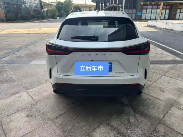 Lexus NX — Фото автомобиля 6