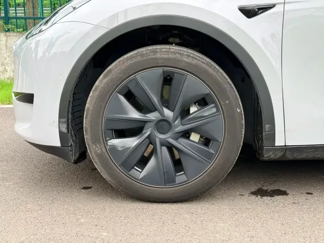 Tesla Model Y — Фото автомобиля 7