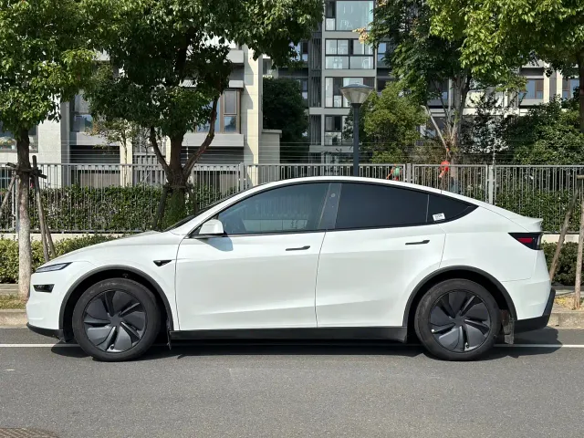 Tesla Model Y — Фото автомобиля 3