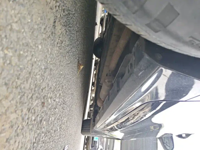 BYD Qin PLUS — Фото автомобиля 20