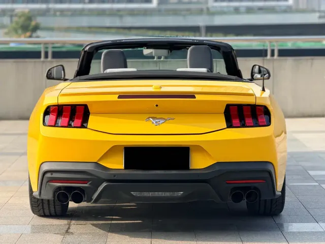 Ford Mustang — Фото автомобиля 5