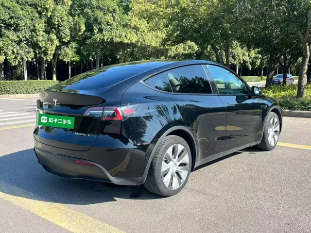 Tesla Model Y — Фото автомобиля 6