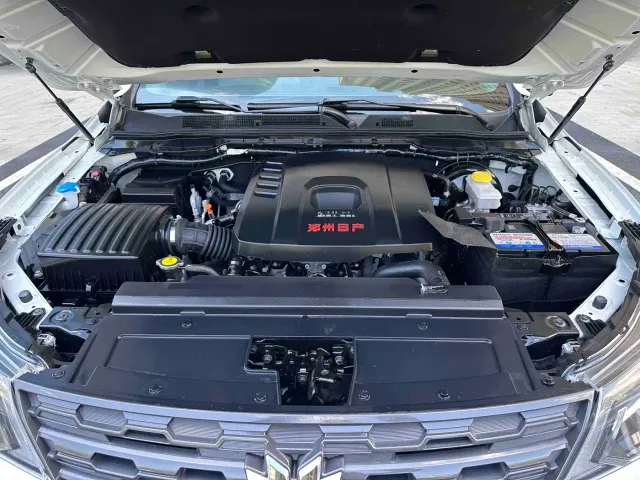 Dongfeng Fengdu Paladin — Фото автомобиля 9