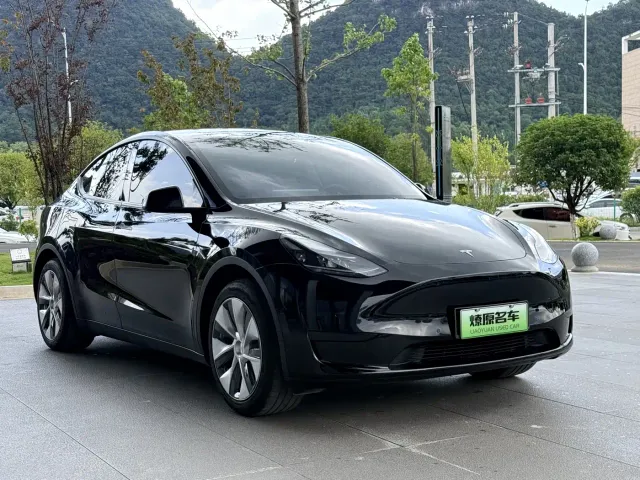 Tesla Model Y — Фото автомобиля 3