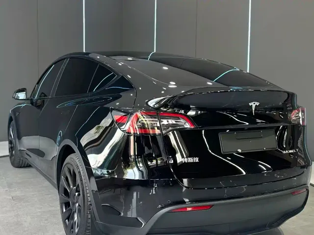 Tesla Model Y — Фото автомобиля 8