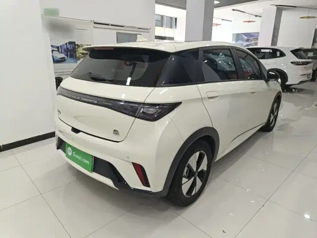 BYD Dolphin — Фото автомобиля 6