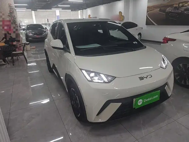 BYD Seagull — Фото автомобиля 3