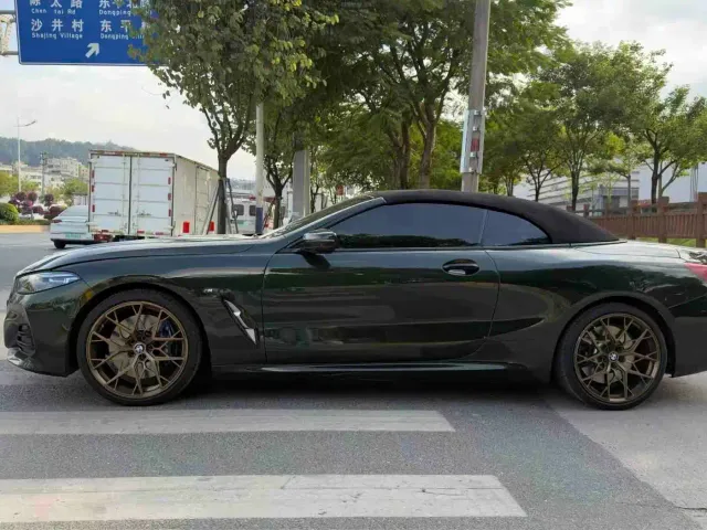 BMW 8 Series — Фото автомобиля 2