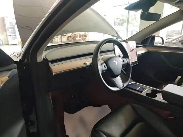 Tesla Model Y — Фото автомобиля 9