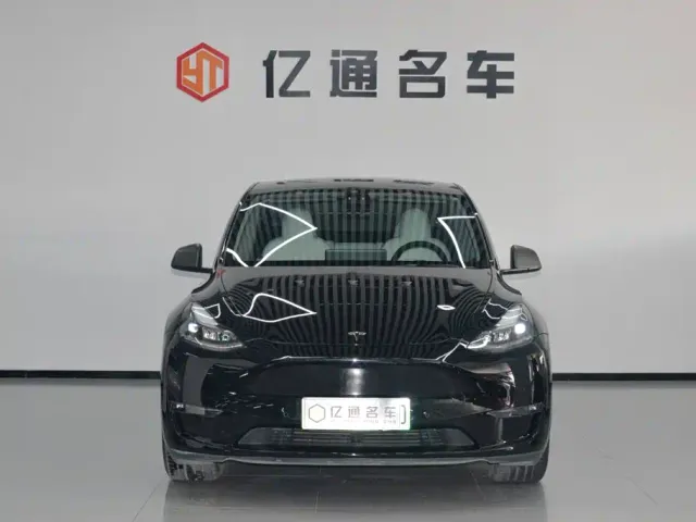 Tesla Model Y — Фото автомобиля 2