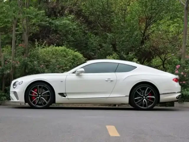 Bentley Continental — Фото автомобиля 8