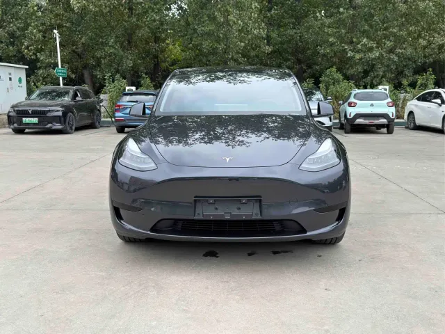 Tesla Model Y — Фото автомобиля 2
