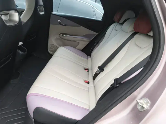 BYD Dolphin — Фото автомобиля 16