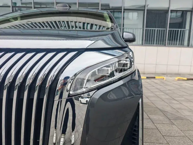 Wey Alpine — Фото автомобиля 5