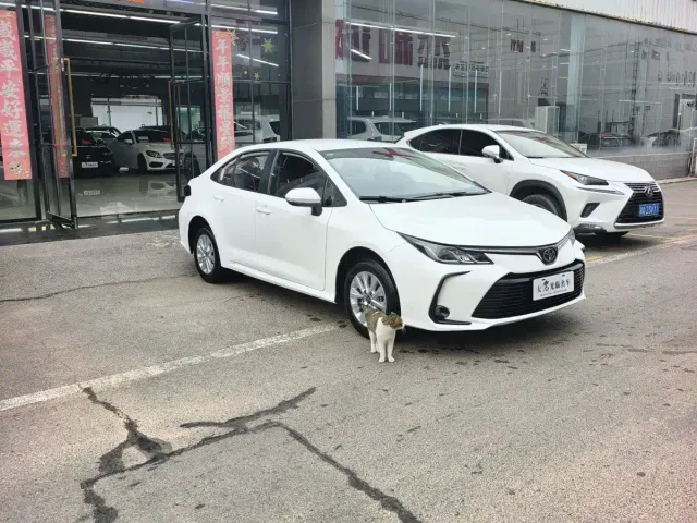 Toyota Corolla — Фото автомобиля 2