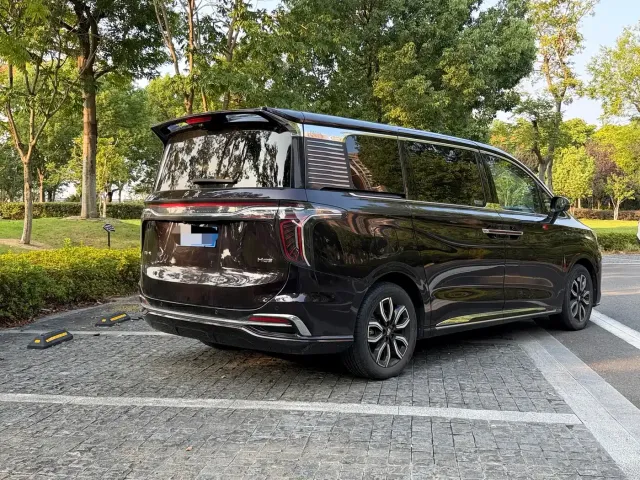 Hongqi HQ9 — Фото автомобиля 12