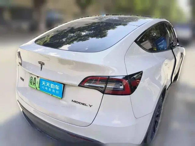 Tesla Model Y — Фото автомобиля 2