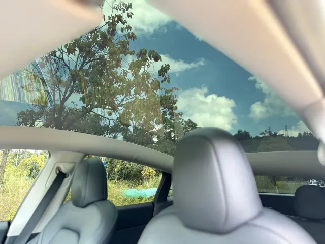 Tesla Model Y — Фото автомобиля 12