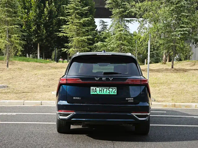 Wey Lanshan — Фото автомобиля 8