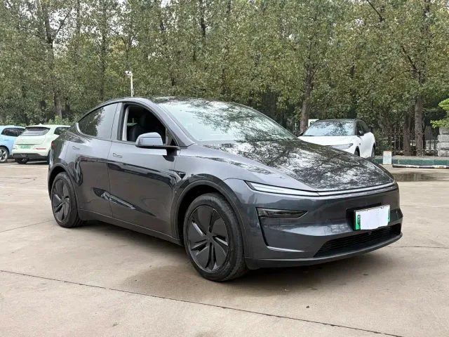 Tesla Model Y — Фото автомобиля 10