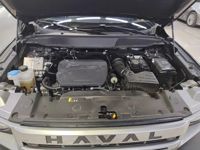 Haval Big Dog — Фото автомобиля 19