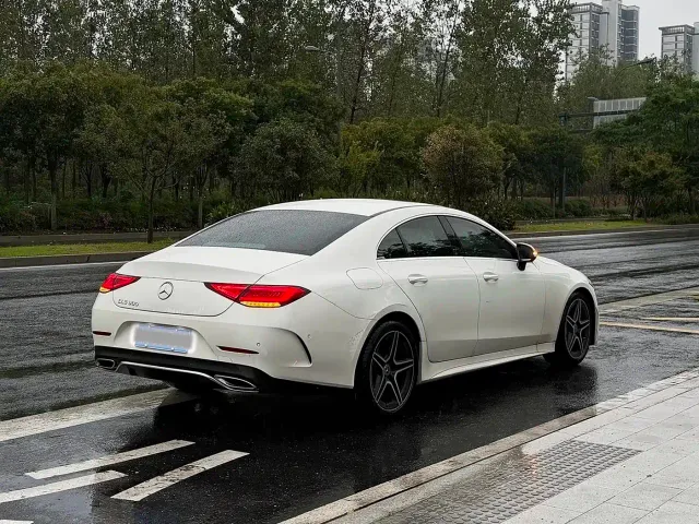 Mercedes-Benz CLS-Class — Фото автомобиля 13