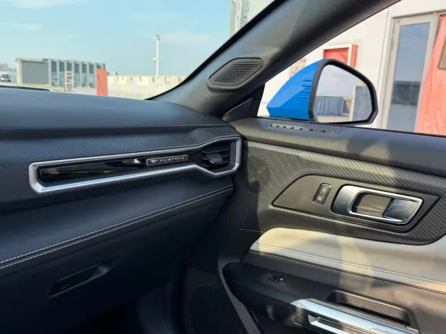 Ford Mustang — Фото автомобиля 24