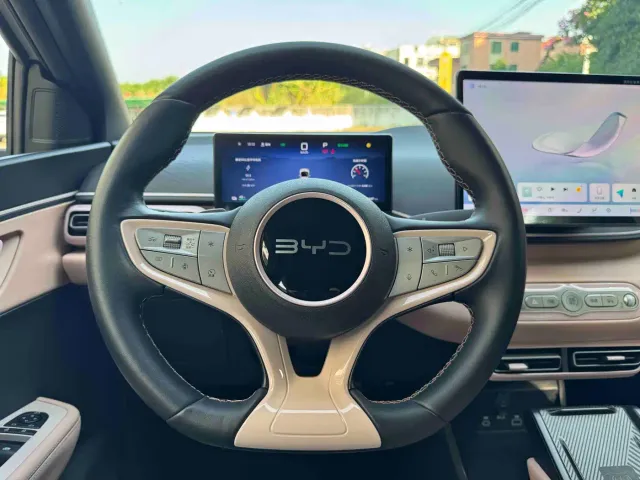 BYD Seagull — Фото автомобиля 9