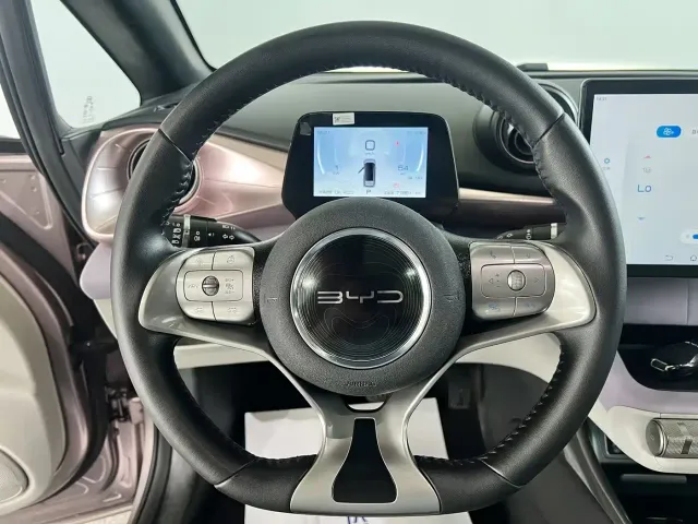 BYD Dolphin — Фото автомобиля 20