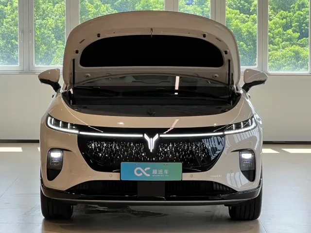 Voyah Auto Voyah Zhiyin 2025 Base — Фото автомобиля 15