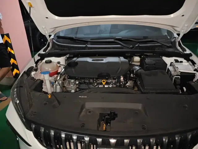 Geely Binrui — Фото автомобиля 18