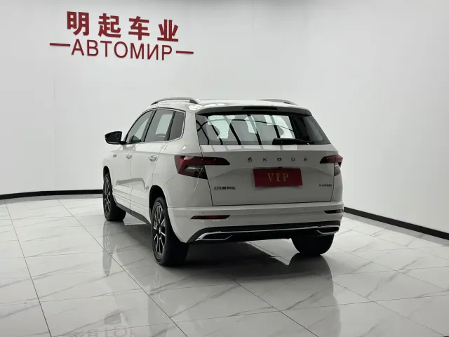 Skoda Karoq — Фото автомобиля 8