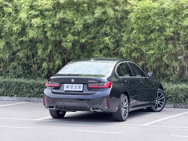 BMW 3 Series — Фото автомобиля 9