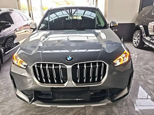 BMW X1 — Фото автомобиля 2