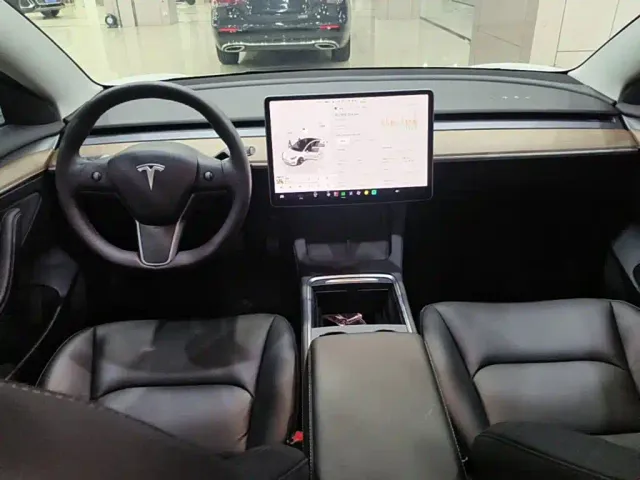 Tesla Model 3 — Фото автомобиля 9