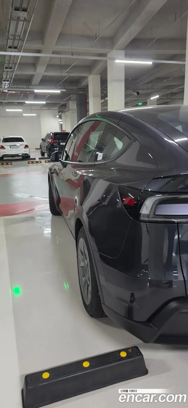 Tesla Model Y — Фото автомобиля 3